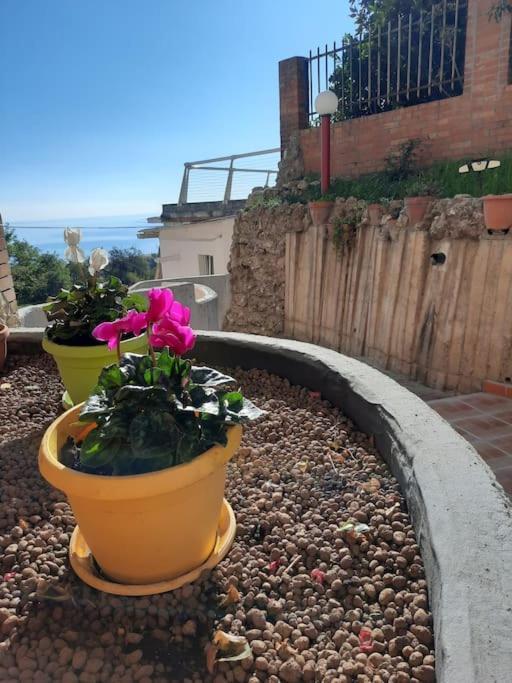 Torre Del Meridiano Casa Vacanze Centrale Térmoli Exterior foto